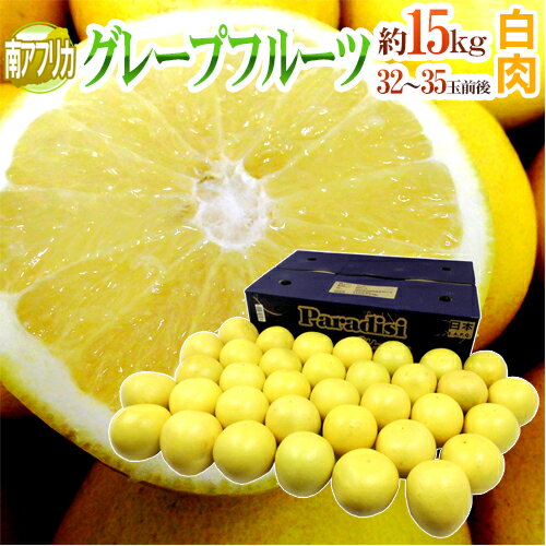 南アフリカ産 ”グレープフルーツ ホワイト” 大玉32〜35玉前後 約15kg【予約 6月中旬以降】 送料無料