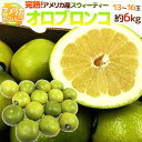 【エントリーで200Pプレゼント】【送料無料】アメリカ・カリフォルニア産 ”完熟オロブロンコ” 大玉 13〜18玉 約6kg【予約 1月中旬以降】