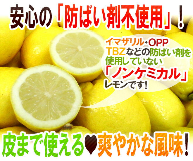 チリ・アメリカ産など ”ノンケミレモン” 大きさおまかせ 約1kg 安心の防ばい剤不使用！ノンケミカル/防黴剤（防かび剤）不使用【予約 入荷次第発送】