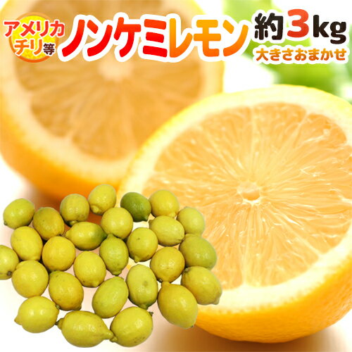 チリ・アメリカ産など ”ノンケミレモン” 大きさおまかせ 約3kg 安心の防ばい剤不使用!ノンケミカル/防黴剤(防かび剤)不使用【予約 入荷次第発送】 送料無料 チリ・アメリカ産など ”ノンケミレモン” 大きさおまかせ 約3kg 安心の防ばい剤不使用!ノンケミカル/防黴剤(防かび剤)不使用【予約 入荷次第発送】 送料無料