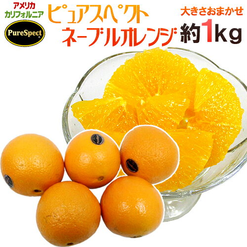 ”プレミアムネーブルオレンジ ピュアスペクト” 約1kg 大きさおまかせ《2kg購入で1kg 3kgで2kg 5kgで5kg 7kg購入で10kgおまけ》【予約 1月下旬以降】 送料無料