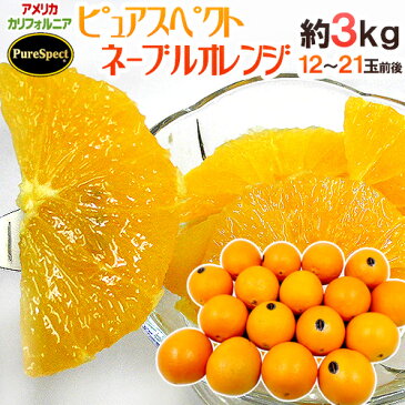 【送料無料】カリフォルニア産 プレミアムオレンジ ”ピュアスペクトネーブルオレンジ” 12〜21玉前後 約3kg【予約 1月下旬以降】
