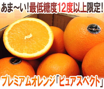 【送料無料】カリフォルニア産 プレミアムオレンジ ”ピュアスペクトネーブルオレンジ” 12〜21玉前後 約3kg【予約 1月下旬以降】