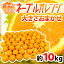 【送料無料】”ネーブルオレンジ” 約10kg 大きさおまかせ アメリカ・オーストラリア産【予約 入荷次第発送】