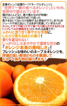 【送料無料】”ネーブルオレンジ” 約10kg 大きさおまかせ オーストラリア産【予約 7月以降】