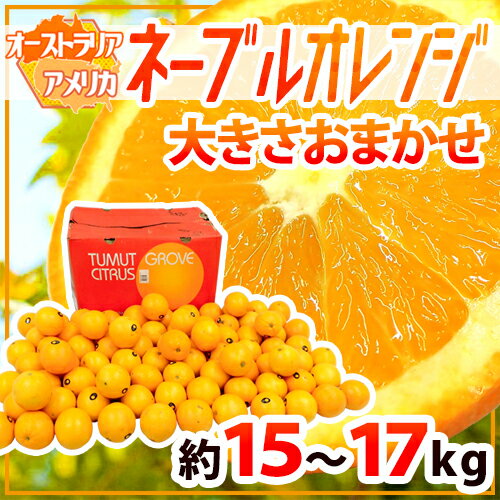 ”ネーブルオレンジ” 約15〜17kg 大きさおまかせ アメリカ・オーストラリア産【予約 入荷次第発送】 送料無料