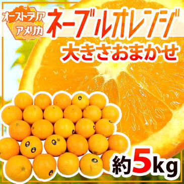 【送料無料】”ネーブルオレンジ” 約5kg 大きさおまかせ オーストラリア産【予約 7月以降】