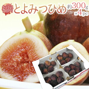 福岡県 高糖度いちじく ”とよみつひめ” 秀品 約300g×4pc【予約 7月末以降】 送料無料