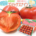 父の日ギフト ”ブリックスナイントマト” 約1kg＋黄色バラ造花1本【予約 6月9〜16日お届け予定】 送料無料 その1