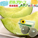 父の日ギフト ”肥後グリーンメロン” 秀品 2玉 約3〜4kg+ひまわり生花1本【予約 6月8〜15日お届け予定】 送料無料