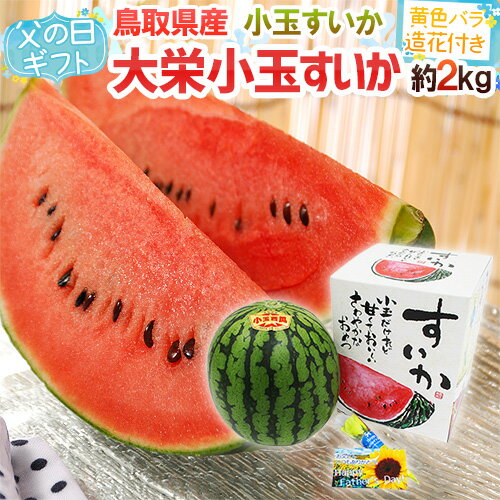 スイカ 新潟県産 すいか 小玉 姫甘泉 （ひめかんせん） 秀品 3玉