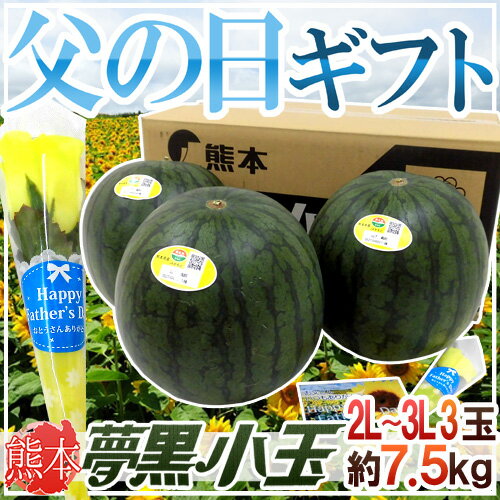 スイカ 父の日ギフト ”夢黒小玉すいか” 秀・優品 3玉 約7.5kg バラ造花付き 産地化粧箱【予約 6月9〜16日お届け予定】 送料無料