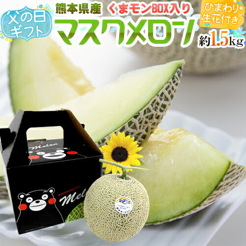 父の日ギフト ”マスクメロン＋ひまわり生花” くまモン化粧箱 1玉 約1.5kg以上 熊本産【予約 6月9～16日お届け予定】 送料無料のサムネイル