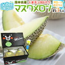 父の日ギフト ”マスクメロン” 黄色バラ造花付き くまモン化粧箱 2玉 約3kg以上 熊本産【予約 6月8〜15日お届け予定】 送料無料