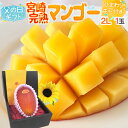 父の日ギフト ”宮崎完熟マンゴー” 大玉2Lサイズ+ひまわり生花1本【予約 6月8〜15日お届け予定】 送料無料