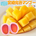 父の日ギフト ”宮崎完熟マンゴー” 秀品 大玉2L 2玉 簡易箱入り【予約 6月8〜15日お届け予定】