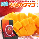 父の日ギフト ”太陽のタマゴ” 大玉2Lサイズ 化粧箱【予約 6月8〜15日お届け予定】 送料無料