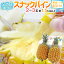 父の日ギフト ”スナックパイン” 2〜3玉 約1.5kg＋黄色バラ造花1本 専用産地箱【予約 6月9〜16日お届け予定】 送料無料