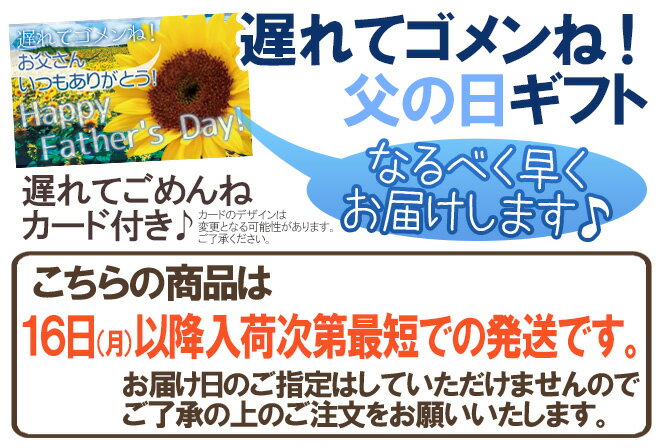 遅れてごめんね！父の日ギフト ”佐藤錦＋種なし巨峰or種なしピオーネ＋宮崎完熟マンゴー” 大玉2Lサイズ＋ひまわり生花1本 【予約 6月16日以降】 送料無料