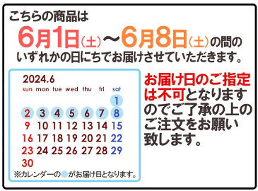 【送料無料】【早期発送】父の日ギフト ”太陽のタマゴ” 大玉2Lサイズ 2玉【予約 6月6日〜13日お届け予定】