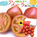 父の日ギフト ”アメーラトマト” 約1kg+ひまわり生花1本【予約 6月8〜15日お届け予定】 送料無料(4)