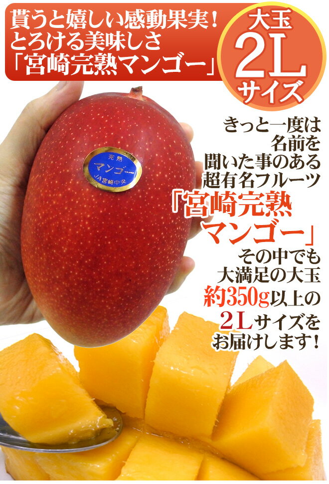 遅れてごめんね！父の日ギフト ”シャインマスカット ダイヤpc＋宮崎完熟マンゴー” 大玉2Lサイズ＋黄色バラ造花1本【予約 6月16日以降】 送料無料