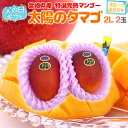 父の日ギフト ”太陽のタマゴ” 大玉2Lサイズ 2玉 黄色バラ造花付き【予約 6月8〜15日お届け予定】 送料無料
