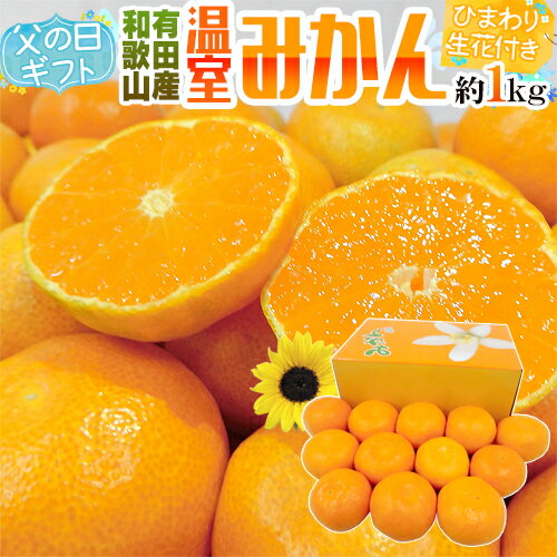 みかん 父の日ギフト ”有田 温室みかん” 秀品 12玉前後 約1kg＋ひまわり生花1本【予約 6月9〜16日お届け予定】 送料無料