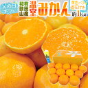 父の日ギフト ”有田 温室みかん” 秀品 12玉前後 約1kg＋バラ造花1本 送料無料