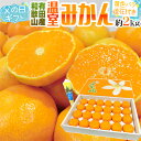 生産地 和歌山県有田地区 内容量 24玉前後　約2kg（生ものですので多少の前後はお許しください） 等級・サイズ 秀品 保存方法 冷暗所・冷蔵庫で保管し、なるべくお早目にお召し上がりください。 送料 送料無料（北海道は送料1,000円、沖縄県は送料2,000円頂戴いたします） ※送料無料ライン対象商品について 常温配送の商品に限り、3,980円以上のご購入で送料無料！（沖縄県宛は9,800円以上のご購入で送料無料） 但し、1つにまとめて配送できない場合は、別途送料が必要となる場合がございます。 詳細はコチラをご確認ください。 配送方法 ヤマト運輸【みかん】【ミカン】【ハウスみかん】【有田みかん】【ありだ】【AQみかん】【柑橘】【プレゼント】【ギフト】【フルーツギフト】【父】【ちちの日】【チチの日】【ちちのひ】【お中元】【御中元】【中元】【フルーツ】【果物】【2キロ】