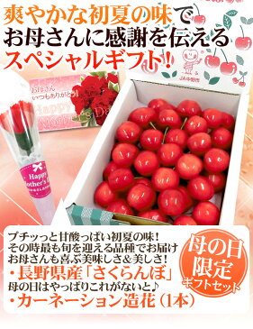 母の日ギフト 長野産 ”さくらんぼ” 大粒2Lサイズ 産地箱 約300g カーネーション造花付き 佐藤錦/香夏錦【予約 5月1〜9日お届け予定】 送料無料