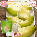 遅れてごめんね!母の日ギフト ”静岡 クラウンメロン” 1玉 約1.5kg カーネーション造花付き 専用化粧箱【予約 5月12日以降】 送料無料