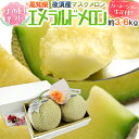 遅れてごめんね!母の日ギフト ”夜須のエメラルドメロン” カーネーション生花付き 2玉 約3.2kg【予約 5月12日以降】 送料無料