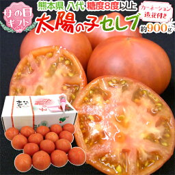 母の日ギフト ”太陽の子セレブトマト” 産地箱 約900g カーネーション造花付き【予約 5月3日～5月12日お届け予定】 送料無料