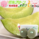 母の日ギフト ”肥後グリーンメロン” カーネーション造花 秀/優品 2L 2玉 約3kg以上(1玉約1.5kg〜)【予約 5月3日〜5月11日お届け予定】 送料...