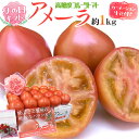 母の日ギフト ”アメーラ” カーネーション生花付き 化粧箱 約1kg【予約 5月3日〜5月11日お届け予定】 送料無料