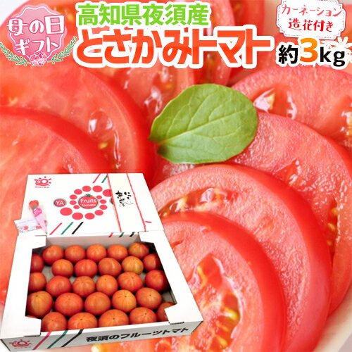 遅れてごめんね！母の日ギフト ”とさかみトマト” 産地箱 約3kg カーネーション造花付き【予約 5月13日以降】 送料無料