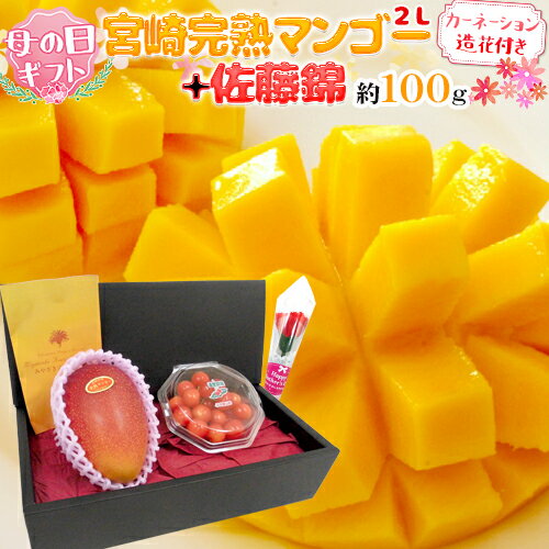 遅れてごめんね!母の日ギフト ”佐藤錦&宮崎マンゴー” カーネーション造花 化粧箱入り【予約 5月12日以降】 送料無料