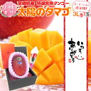 遅れてごめんね!母の日ギフト 宮崎マンゴー ”太陽のタマゴ” 特大玉3Lとカーネーション造花セット 化粧箱入り【予約 5月12日以降】 送料無料