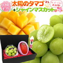 商品画像1