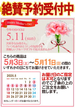 母の日ギフト 長野産 ”さくらんぼ” 大粒2Lサイズ 産地箱 約300g カーネーション造花付き 佐藤錦/香夏錦【予約 5月1〜9日お届け予定】 送料無料