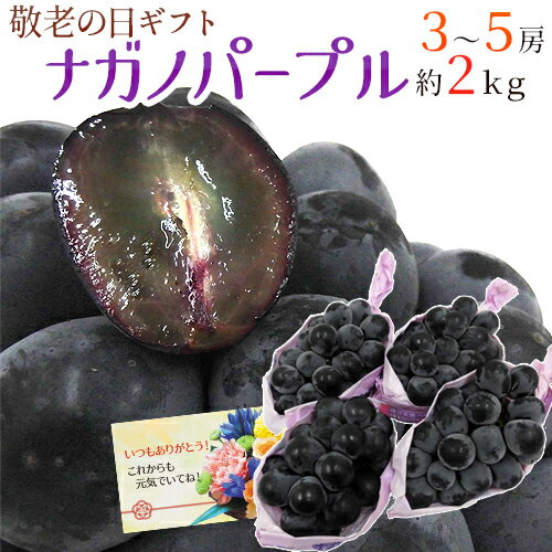 敬老の日ギフト ”長野産 ナガノパープル” 3〜5房 約2kg 【予約 9月8～16日お届け予定】 送料無料のサムネイル