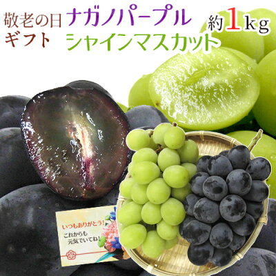 遅れてごめんね!敬老の日ギフト ”シャインマスカット+ナガノパープル 食べ比べセット” 2房 約1kg 産地厳選/長野産【予約 9月17日以降】 送料無料