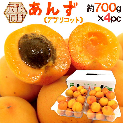 刈谷食品 しそ巻あんず 320g