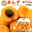 長野県 ”生あんず” 約700g×4pc(合計約2.8kg) アプリコット【予約 6月中下旬以降】 送料無料