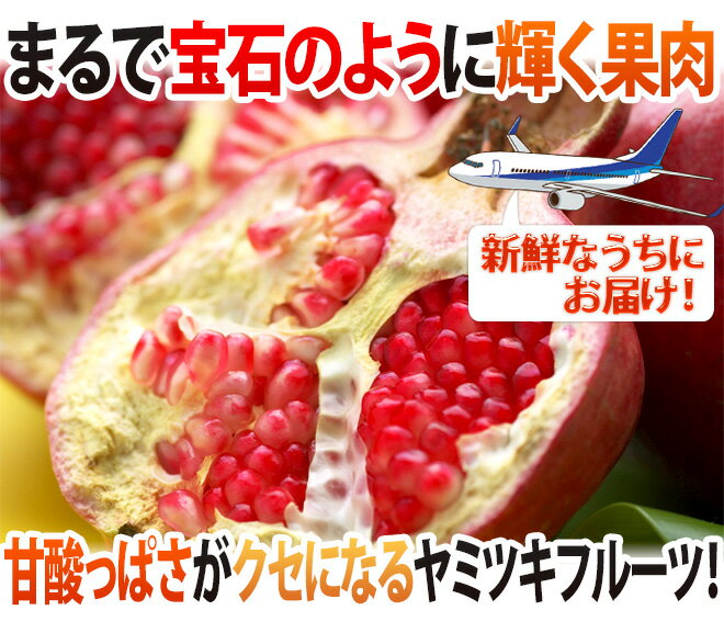 カリフォルニア、チリ産 ほか ”ザクロ” 6〜7玉前後 約2kg 航空便【予約 3月中旬以降】 送料無料 2