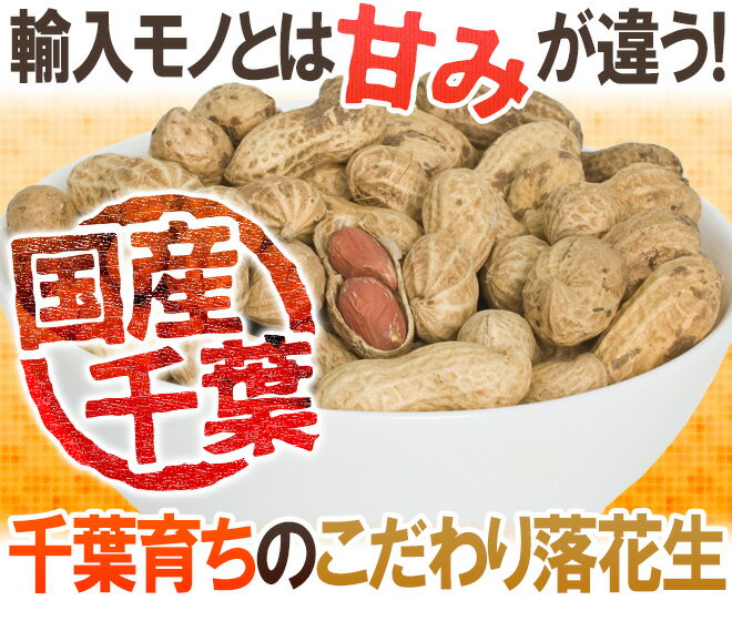 千葉産 ”殻付落花生” 110g×2袋 国産 ピーナッツ【ポスト投函送料無料】【予約 入荷次第発送】