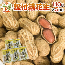 千葉産 ”殻付落花生” 110g×5袋 国産 ピーナッツ【予約 入荷次第発送】 送料無料