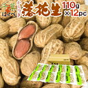 千葉産 ”からつき落花生” 110g×12袋 はせべ 国産 ピーナッツ【予約 入荷次第発送】 送料無料