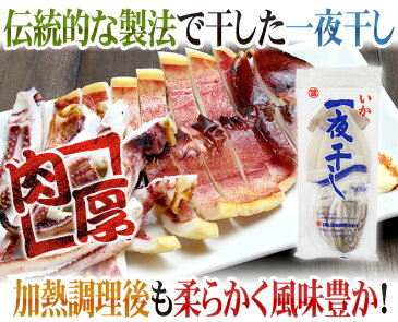 【送料無料】”するめいか開き 一夜干し” 約120〜150g前後 2枚×《2袋》 真イカ 干物 岩手産/三陸北部沖